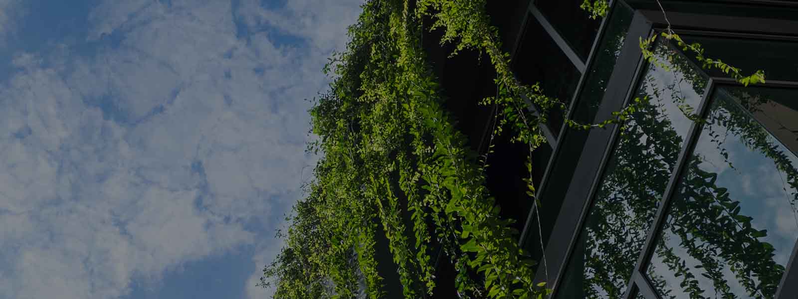 Plants on top of the building