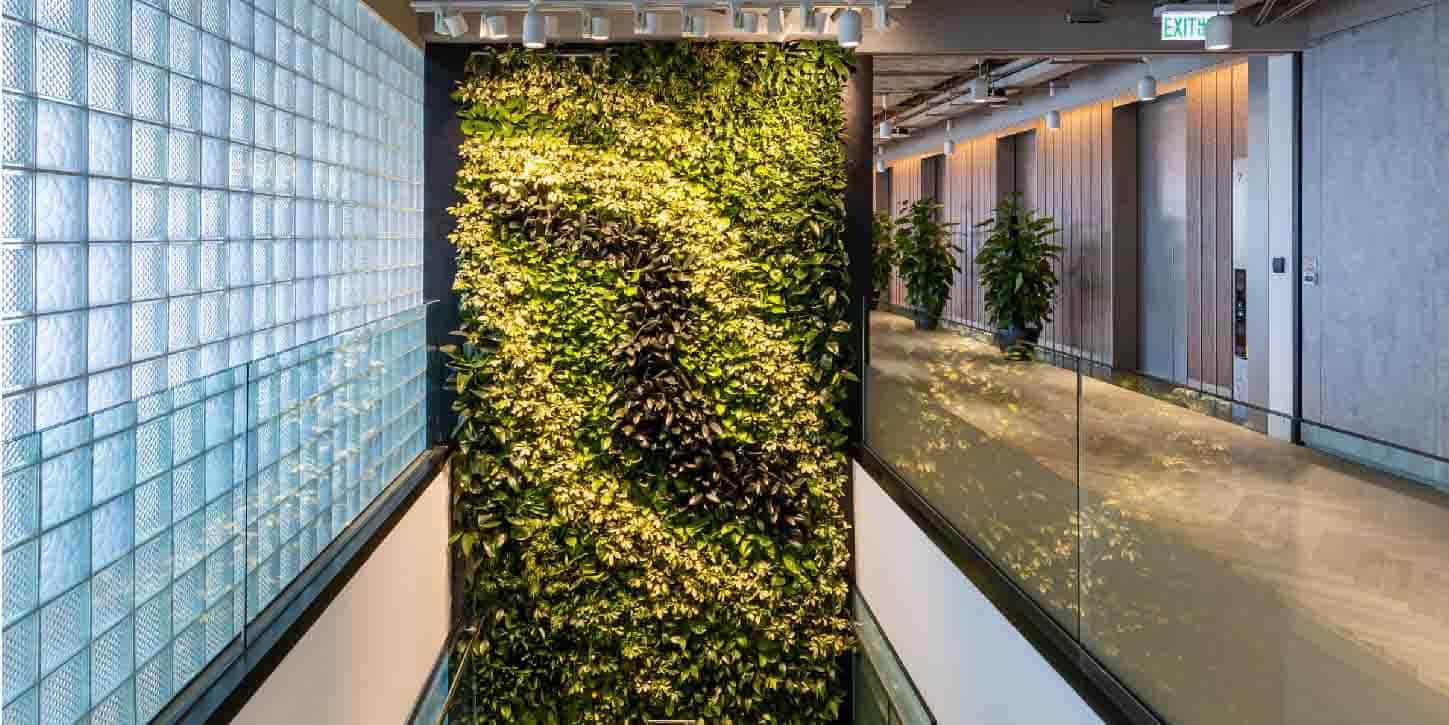 Exit area of JLL office with beautiful green walls