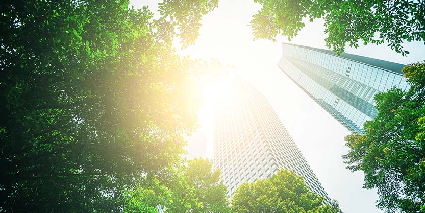 Business towers and Green leaves