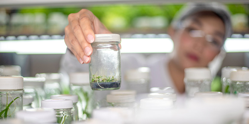 Women at laboratory