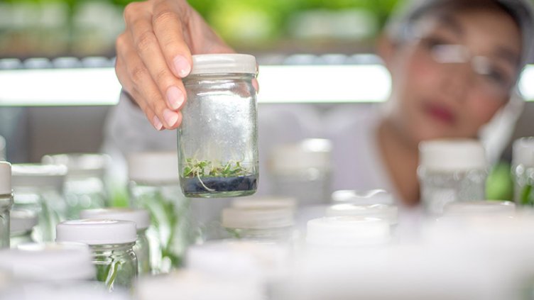 Women at laboratory