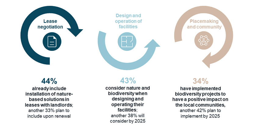Opportunities for including biodiversity across the real estate life cycle