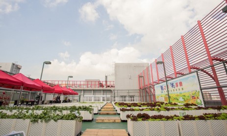 JLL revolutionizes rooftop farm operating model