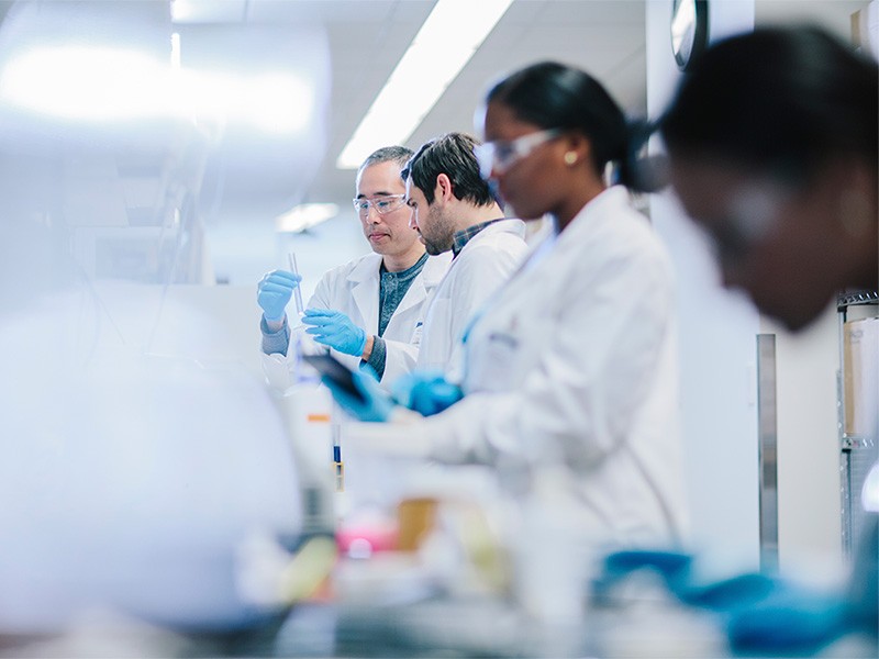 Scientists working in the lab