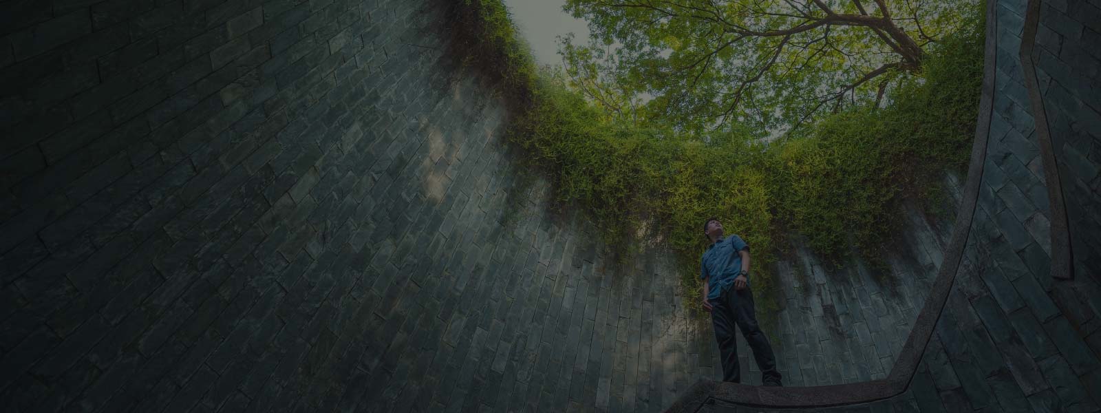 Guy standing and seeing greenery